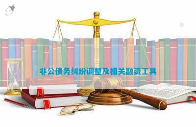 im电竞官网非公债务纠纷调整及相关融资工具(图1)