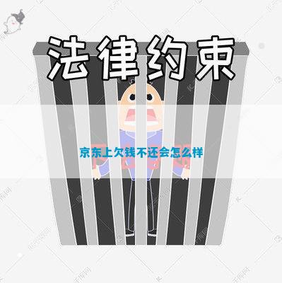 im电竞官方网站京东上欠钱不还会怎么样