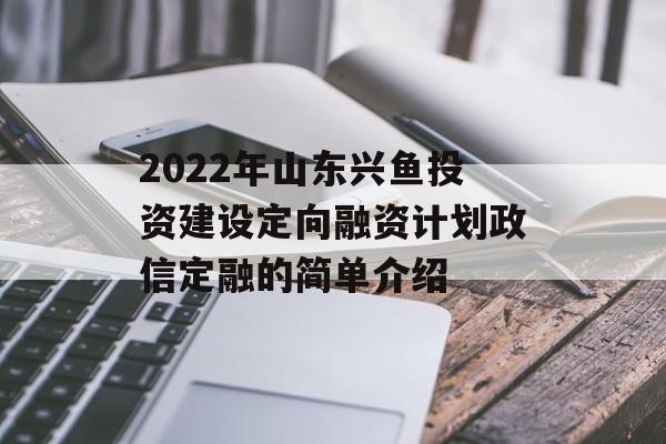 im电竞官网2022年山东兴鱼投资建设定向融资计划政信定融的简单介绍(图2)