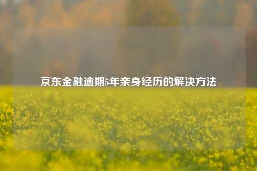 im电竞登录入口京东金融逾期5年亲身经历的解决方法(图1)