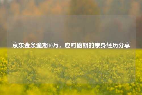 im电竞官方网站京东金条逾期10万应对逾期的亲身经历分享